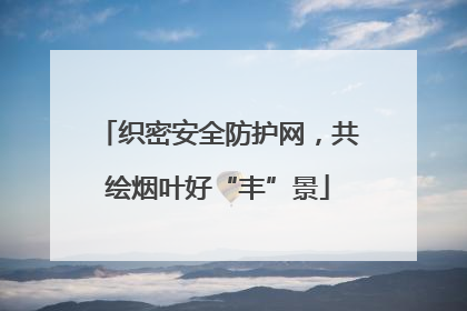 织密安全防护网，共绘烟叶好“丰”景