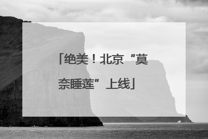 绝美！北京“莫奈睡莲”上线