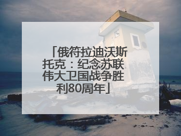 俄符拉迪沃斯托克：纪念苏联伟大卫国战争胜利80周年