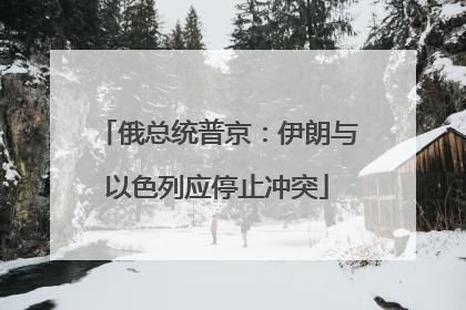 俄总统普京：伊朗与以色列应停止冲突