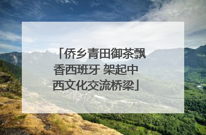 侨乡青田御茶飘香西班牙 架起中西文化交流桥梁