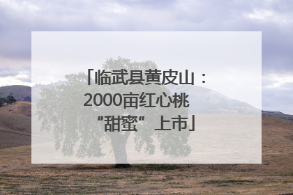 临武县黄皮山：2000亩红心桃“甜蜜”上市