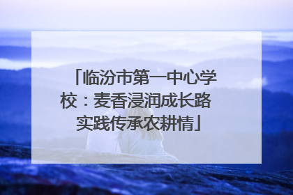 临汾市第一中心学校：麦香浸润成长路 实践传承农耕情