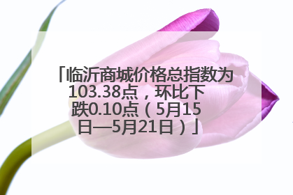 临沂商城价格总指数为103.38点，环比下跌0.10点（5月15日—5月21日）