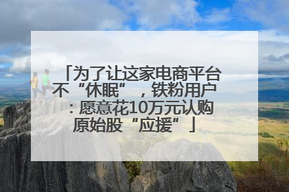 为了让这家电商平台不“休眠”，铁粉用户：愿意花10万元认购原始股“应援”