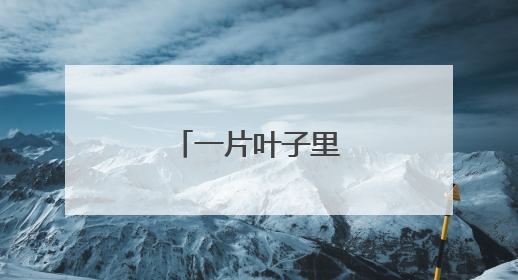 一片叶子里的共富脉络