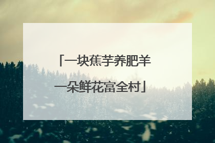 一块蕉芋养肥羊 一朵鲜花富全村