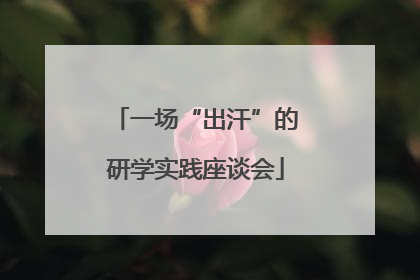 一场“出汗”的研学实践座谈会