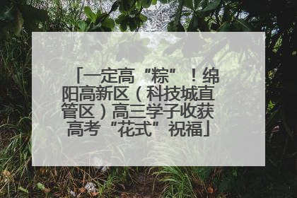 一定高“粽”！绵阳高新区（科技城直管区）高三学子收获高考“花式”祝福