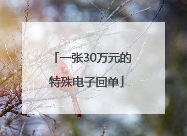 一张30万元的特殊电子回单