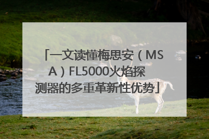 一文读懂梅思安（MSA）FL5000火焰探测器的多重革新性优势