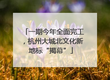 一期今年全面完工，杭州大城北文化新地标“揭幕”