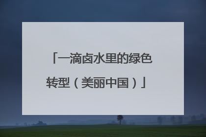 一滴卤水里的绿色转型（美丽中国）