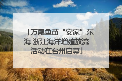 万尾鱼苗“安家”东海 浙江海洋增殖放流活动在台州启幕