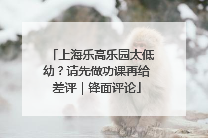 上海乐高乐园太低幼？请先做功课再给差评｜锋面评论