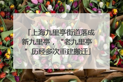 上海九里亭街道落成新九里亭，“老九里亭”历经多次重建搬迁