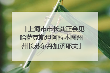 上海市市长龚正会见哈萨克斯坦阿拉木图州州长苏尔丹加济耶夫