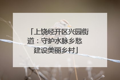 上饶经开区兴园街道：守护水脉乡愁 建设美丽乡村