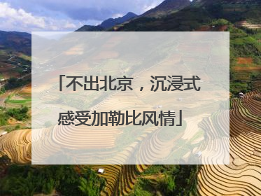 不出北京，沉浸式感受加勒比风情
