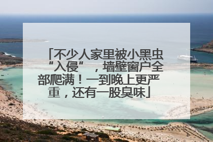 不少人家里被小黑虫“入侵”，墙壁窗户全部爬满！一到晚上更严重，还有一股臭味