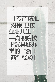 专产精准对接 县校互惠共生——高职院校下沉县域办学的“浙工商”经验
