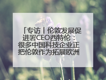 专访丨伦敦发展促进署CEO西特伦：很多中国科技企业正把伦敦作为拓展欧洲市场的门户