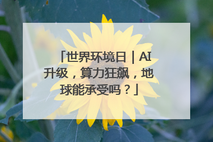 世界环境日｜AI升级，算力狂飙，地球能承受吗？