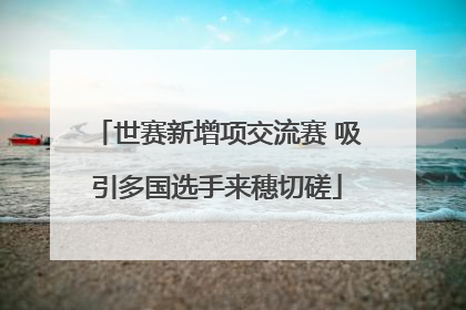 世赛新增项交流赛 吸引多国选手来穗切磋