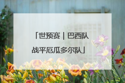 世预赛｜巴西队战平厄瓜多尔队