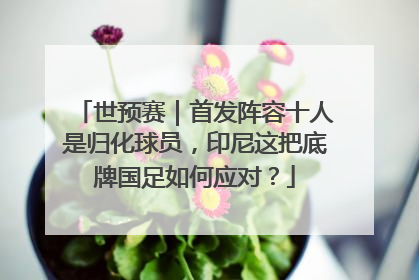 世预赛｜首发阵容十人是归化球员，印尼这把底牌国足如何应对？