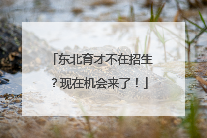 东北育才不在招生？现在机会来了！