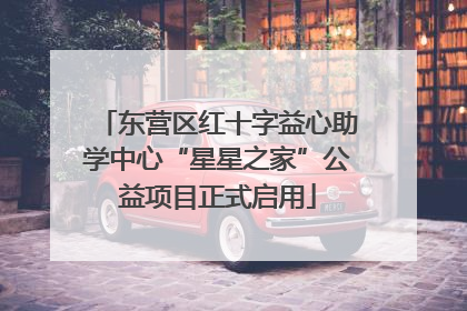东营区红十字益心助学中心“星星之家”公益项目正式启用