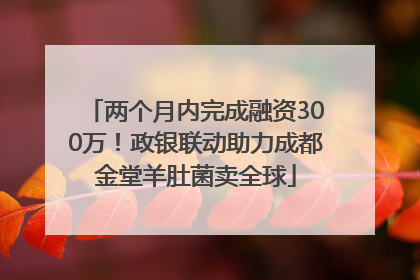 两个月内完成融资300万！政银联动助力成都金堂羊肚菌卖全球