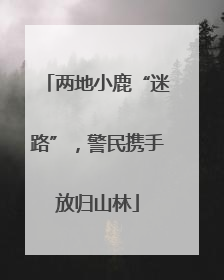 两地小鹿“迷路”，警民携手放归山林