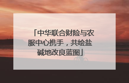 中华联合财险与农服中心携手，共绘盐碱地改良蓝图