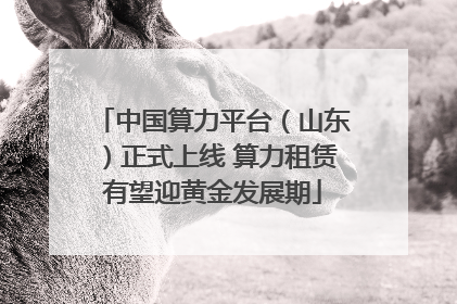 中国算力平台（山东）正式上线 算力租赁有望迎黄金发展期