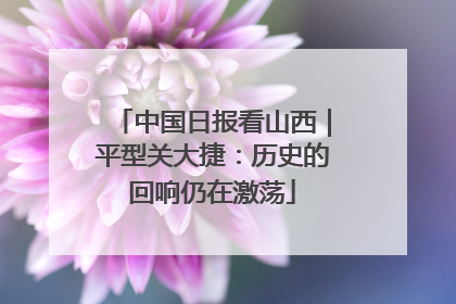 中国日报看山西｜平型关大捷：历史的回响仍在激荡