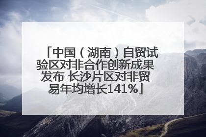 中国（湖南）自贸试验区对非合作创新成果发布 长沙片区对非贸易年均增长141%