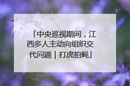 中央巡视期间，江西多人主动向组织交代问题｜打虎拍蝇