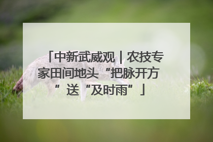 中新武威观｜农技专家田间地头“把脉开方”送“及时雨”