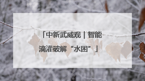 中新武威观｜智能滴灌破解“水困”