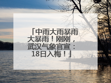 中雨大雨暴雨大暴雨！刚刚，武汉气象官宣：18日入梅！