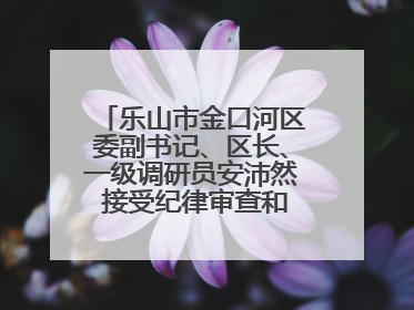 乐山市金口河区委副书记、区长、一级调研员安沛然 接受纪律审查和监察调查