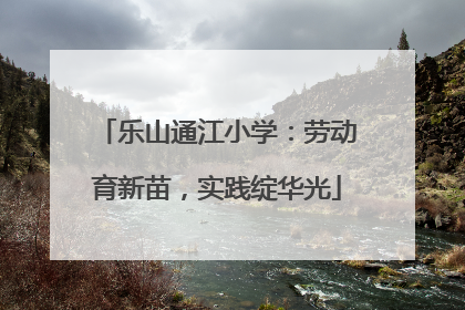 乐山通江小学：劳动育新苗，实践绽华光