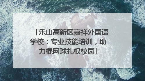 乐山高新区嘉祥外国语学校：专业技能培训，助力棍网球扎根校园