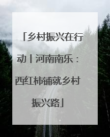 乡村振兴在行动丨河南南乐：西红柿铺就乡村振兴路