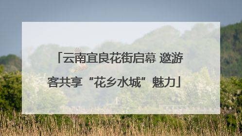 云南宜良花街启幕 邀游客共享“花乡水城”魅力