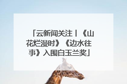 云新闻关注丨《山花烂漫时》《边水往事》入围白玉兰奖