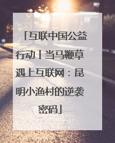 互联中国公益行动丨当马鞭草遇上互联网：昆明小渔村的逆袭密码