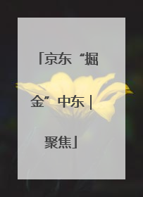 京东“掘金”中东｜聚焦